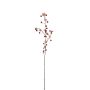 Dekozweig Zierapfel RAINHARD mit Blüten, Früchte, rosa-rot, 110cm