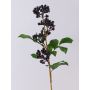 Unechter Zweig Holunderbeeren CHATANGA mit Früchten, burgunderrot-schwarz, 60cm