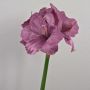 Kunstblume Amaryllis MARANON, violett, 70cm, Ø19cm