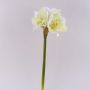 Dekoblume Amaryllis MARKUNO, creme-weiß, 65cm, Ø13cm