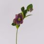 Kunstblume Christrose MITTWEIDA, violett-grün, 35cm