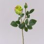 Rose künstlich BARIADY, grün-pink, 35cm, Ø5,5cm