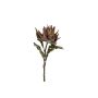 Dekoblume Artischocken Blüte ANNALISA, braun-grün, 75cm, Ø24cm
