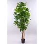 Künstliche Schefflera MURSIK, Echtstämme, grün, 180cm