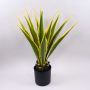 Kunst Agave furcraea gigantea CHERIE, grün-gelb, 80cm