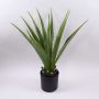 Kunst Agave furcraea gigantea CHERIE, grün-grau, 80cm