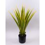 Kunst Agave furcraea gigantea CHERIE, grün-gelb, 100cm