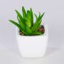 Künstliche Agave americana Pflanze KATNISS, Keramiktopf, grün, 8cm