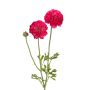 Dekozweig Ranunkel ALIHKA, pink, 55cm
