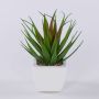 Deko Agave decipiens KATNISS im Keramiktopf, grün-rot, 19cm