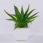 Deko Aloe Vera KATNISS, Keramiktopf, grün, 19cm