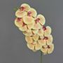 Künstlicher Phalaenopsis Orchideenzweig XURI, pfirsich-fuchsia, 95cm, Ø12,5cm