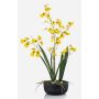 Kunstblume Oncidium Orchidee DEISHA in Dekoschale, Wurzeln, gelb, 60cm