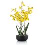 Kunstblume Oncidium Orchidee DEISHA in Dekoschale, Wurzeln, gelb, 70cm