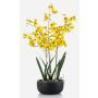 Kunstblume Oncidium Orchidee DEISHA in Dekoschale, Wurzeln, gelb, 70cm