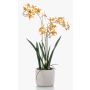 Kunst Orchidee Renanthera BLANI im Keramiktopf, Wurzeln, gelb-pink, 55cm