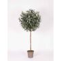 Künstlicher Olivenbaum MILINO, Naturstamm, mit Früchten, 150cm - Made in Italy