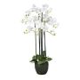 Deko Blume Phalaenopsis Orchidee PINSARY, Erdball, Wurzeln, weiß, 95cm