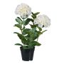 Deko Blume Hortensie BINEFA, weiß, 60cm