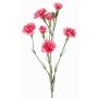 Kunstblumenzweig Nelke PIARA, pink, 60cm, Ø3-5cm