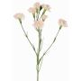 Kunstblumenzweig Nelke PIARA, zartrosa, 60cm, Ø3-5cm