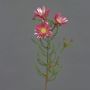 Künstliche Kap-Strohblume BEYA, rosa-pink, 60cm, Ø6cm