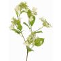 Hortensie Kunstblumenzweig KATHANI, weiß-grün, 80cm, Ø10-13cm