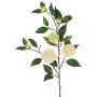 Künstlicher Kamelien Zweig YARINA mit Blüten, creme-grün, 75cm