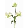 Dekoblume Gloriosa XELA, weiß-grün, 50cm, Ø4-7cm