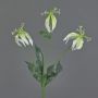 Dekoblume Gloriosa XELA, weiß-grün, 50cm, Ø4-7cm