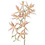 Künstliche Brassia Orchidee ORELA, weiß-rot, 90cm