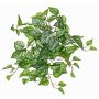 Kunsthänger Gefleckte Efeutute KEVINA auf Steckstab, Eco Collection, grün-weiß, 55cm