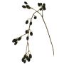 Deko Zweig Brombeere URUMA mit Früchten, schwarz, 100cm