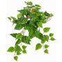 Dekopflanze Efeututen Hänger SHELLEY auf Steckstab, Eco Collection, grün, 55cm