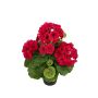Kunstblume Geranie ELISABETTA im Dekotopf, pink, 35cm