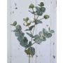 Künstlicher Eukalyptus Zweig INGOLF, grün-grau, 55cm