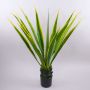Kunst Agave furcraea gigantea CHERIE, grün-gelb, 110cm