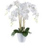 Dekoblume Phalaenopsis Orchidee BLENTOR im Melamin-Übertopf, Wurzeln, weiß, 60cm