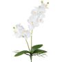 Deko Blume Phalaenopsis Orchidee KRUZBER, Steckstab, Wurzeln, weiß, 55cm