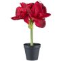 Deko Blume Amaryllis PRIFT im Dekotopf, dunkelrot, 30cm
