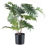 Plastikpflanze Philodendron Selloum WELKA, 50cm