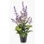 Kunstpflanze Salbei SWORTA im Dekotopf, Blüten, lavendel, 45cm