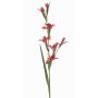 Kunstblume Gladiole GROWEL, koralle, 105cm