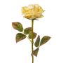 Kunstblume Rose DRINT, Trockenoptik, grün-creme, 60cm, Ø10,5cm