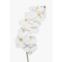 Künstlicher Phalaenopsis Orchideenzweig XURI, weiß, 95cm, Ø12,5cm