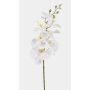 Künstlicher Phalaenopsis Orchideenzweig AXELOR, weiß, 85cm