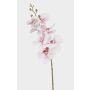 Künstlicher Phalaenopsis Orchideenzweig AXELOR, weiß-rosa, 85cm