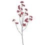 Kunstzweig Celastrus orbiculatus SERAFINEA, Früchte, rot, 65cm