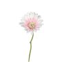 Künstliche Blume Gerbera ARGENOS, weiß-rosa, 30cm