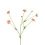 Dekozweig Flockenblume TAOTAO, hellrosa, 65cm, Ø4-5cm